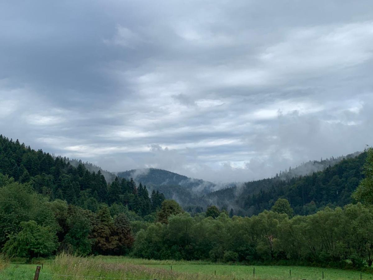 Baligród Tylko Tu Bieszczady, Balia, Sauna מראה חיצוני תמונה