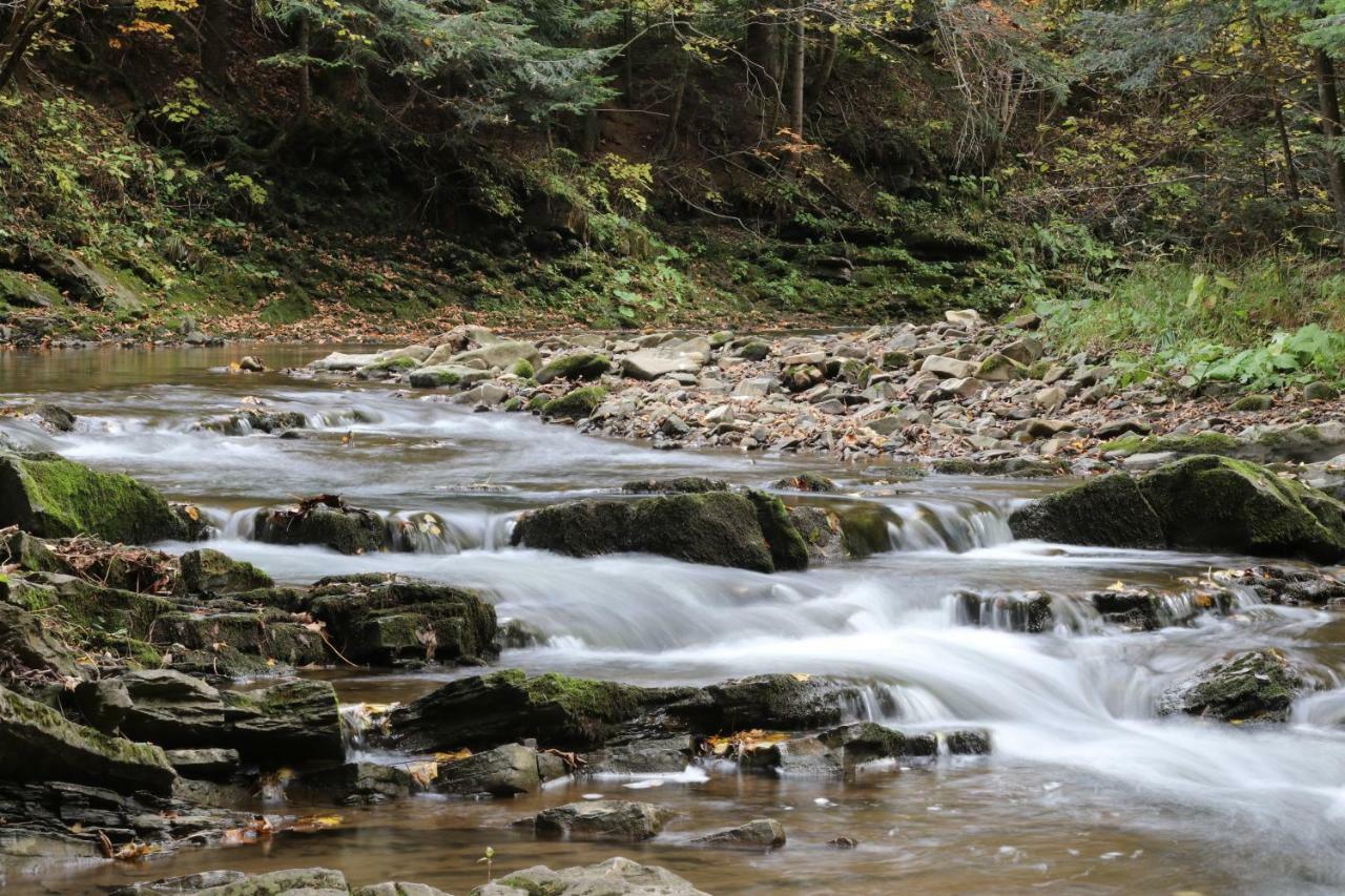 Baligród Tylko Tu Bieszczady, Balia, Sauna מראה חיצוני תמונה
